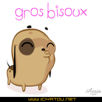 Gros bisous !!!